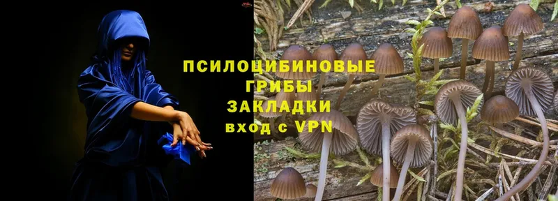 Псилоцибиновые грибы Magic Shrooms  Подпорожье 